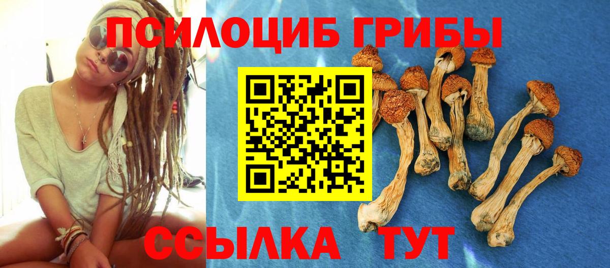 Копейск  Галлюциногенные грибы Psilocybine cubensis  Вход с VPN 